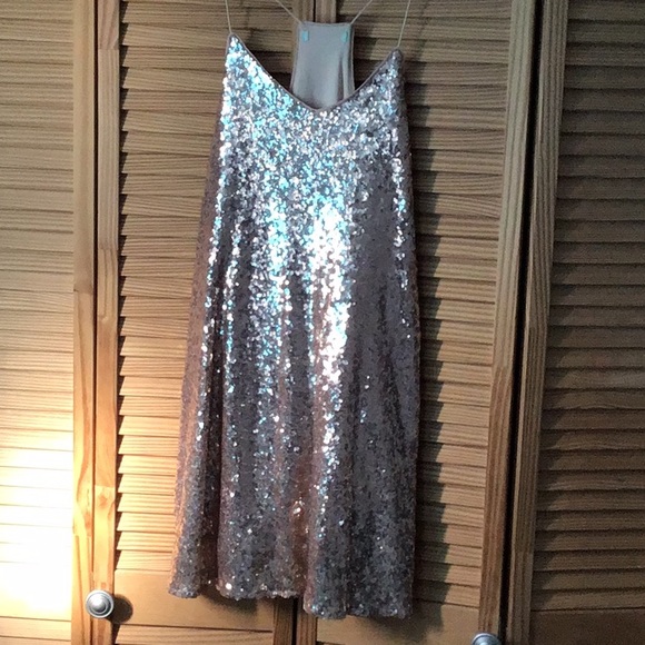 Sequins on silk - Picture 1 of 4